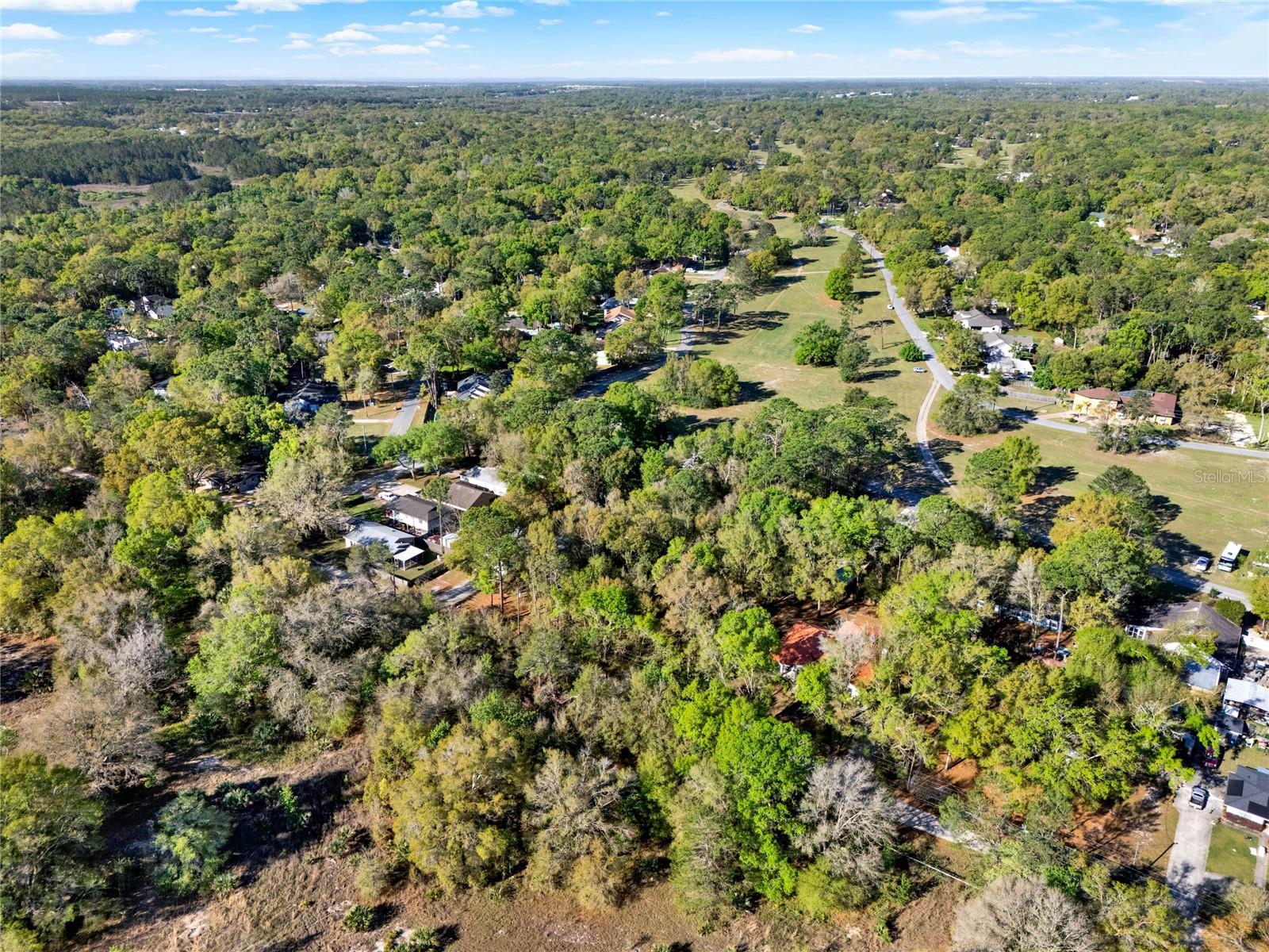 31024 PRESTWICK AVE, SORRENTO, FL, 32776