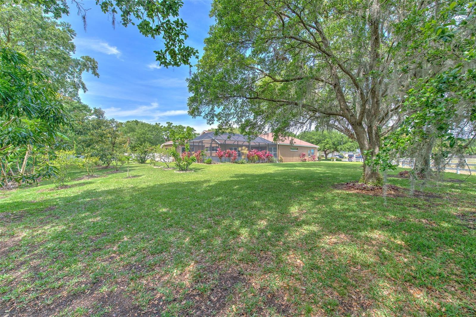 3217 PARTRIDGE POINT TRL, VALRICO, FL, 33596