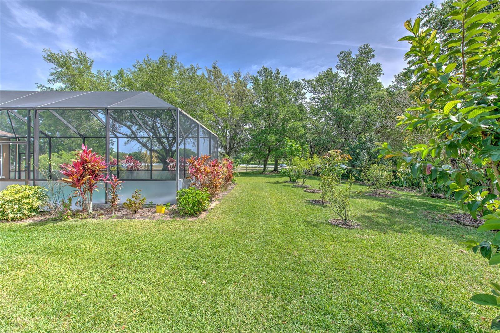 3217 PARTRIDGE POINT TRL, VALRICO, FL, 33596