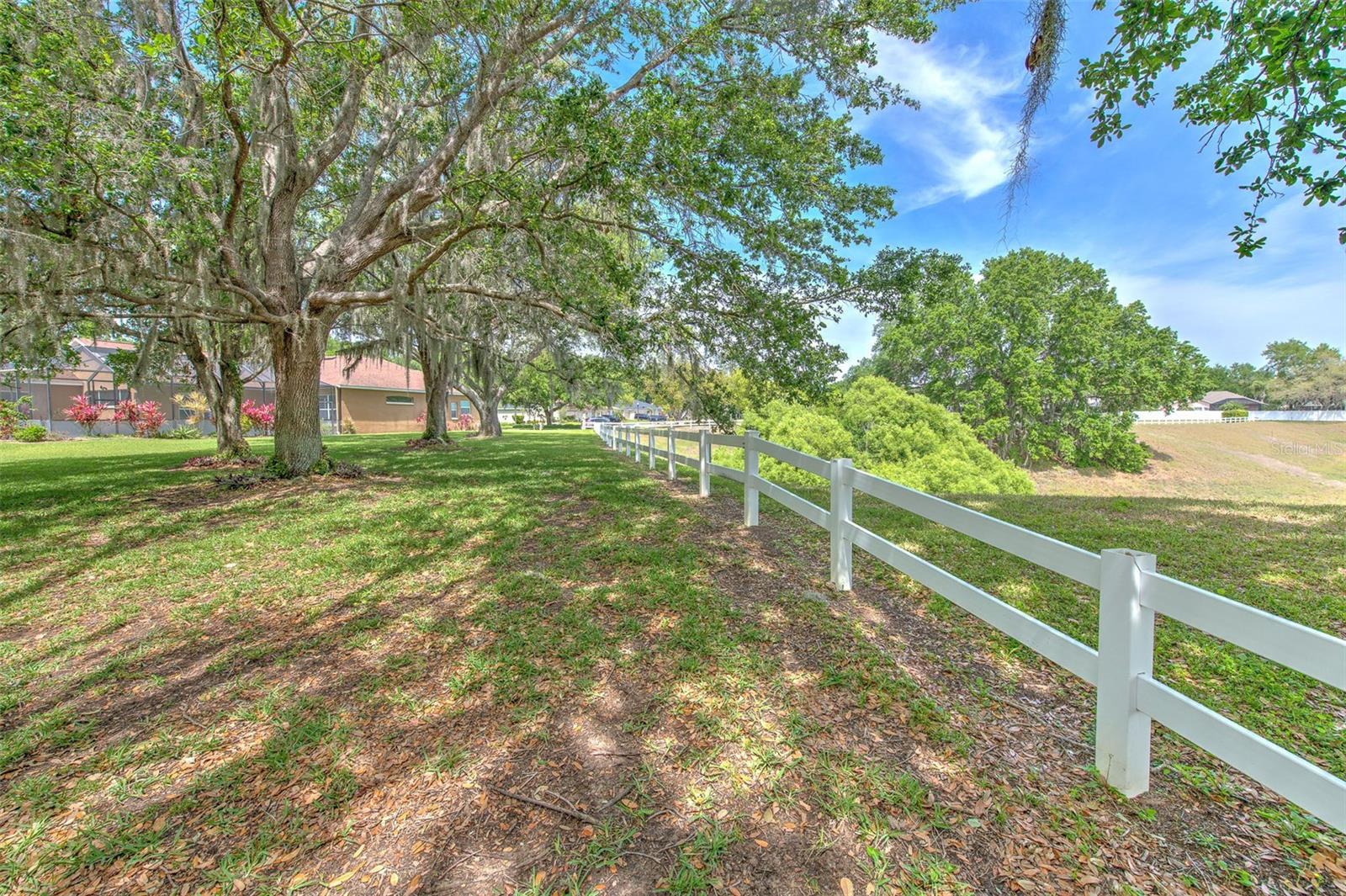 3217 PARTRIDGE POINT TRL, VALRICO, FL, 33596