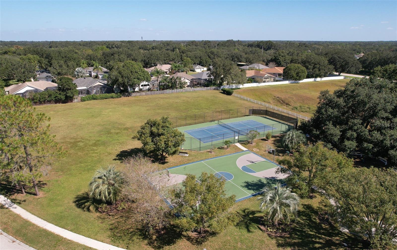 3217 PARTRIDGE POINT TRL, VALRICO, FL, 33596