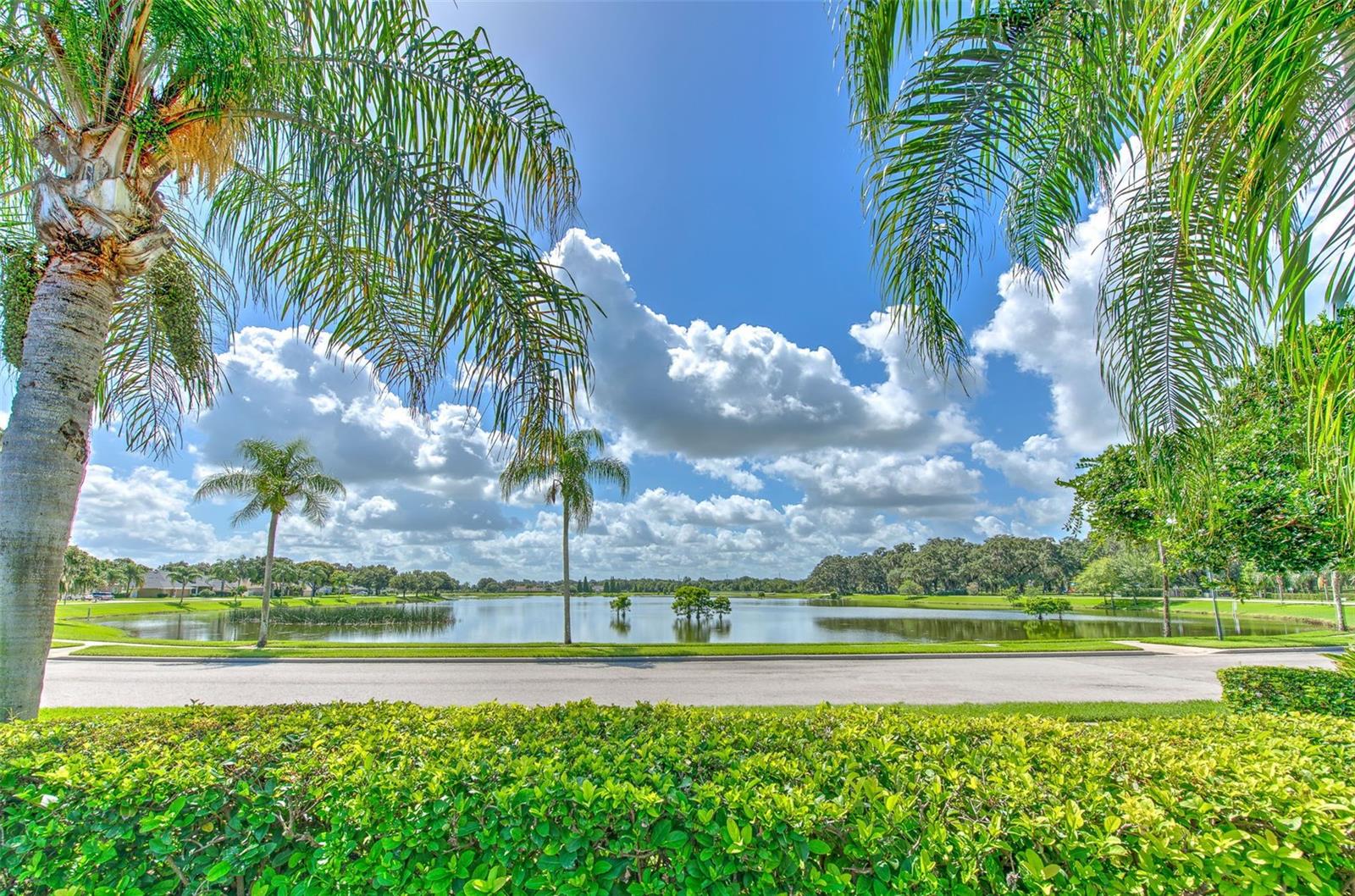 3217 PARTRIDGE POINT TRL, VALRICO, FL, 33596