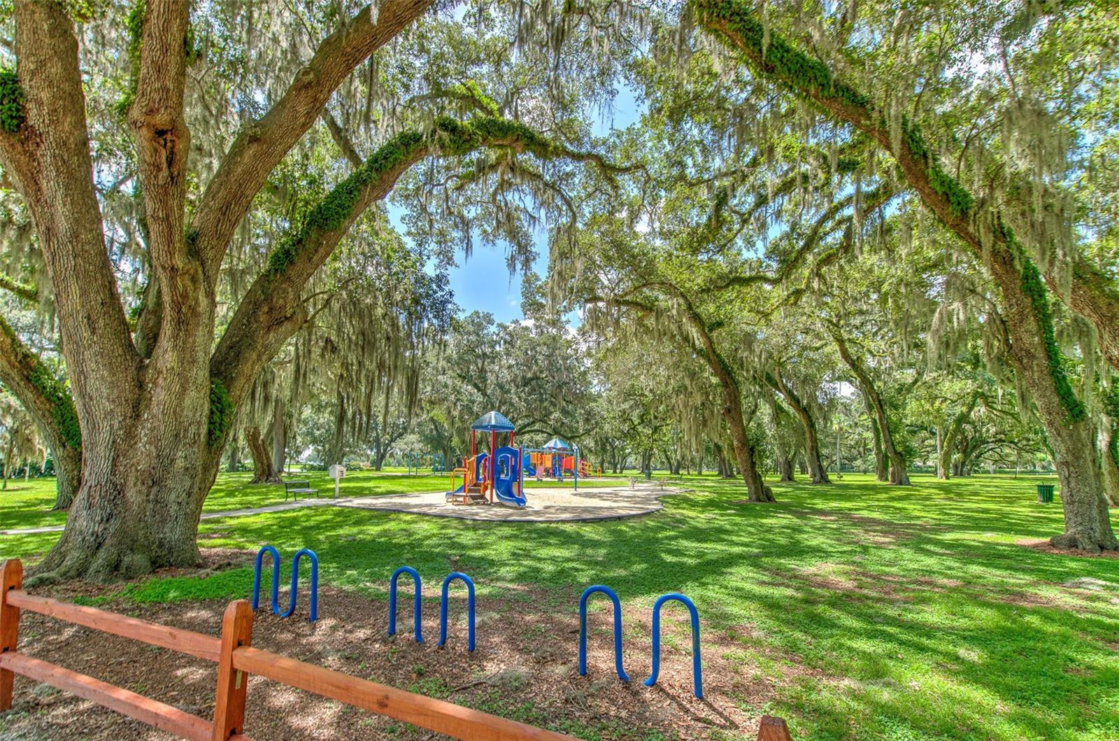 3217 PARTRIDGE POINT TRL, VALRICO, FL, 33596