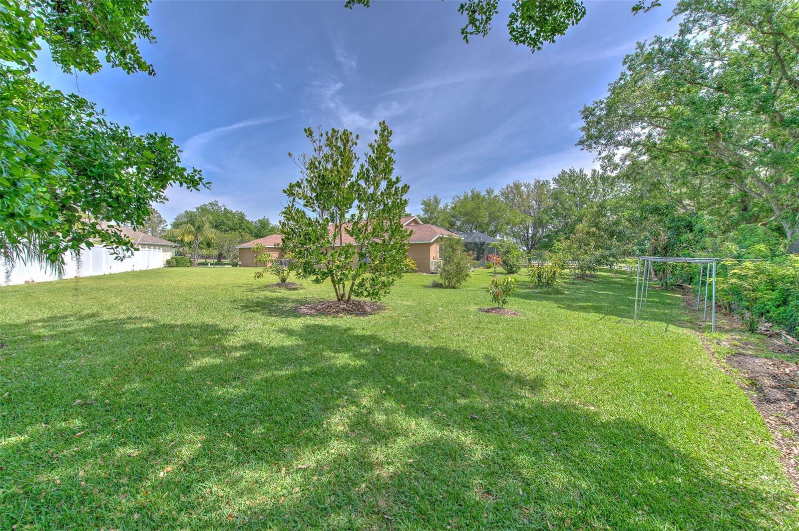 3217 PARTRIDGE POINT TRL, VALRICO, FL, 33596