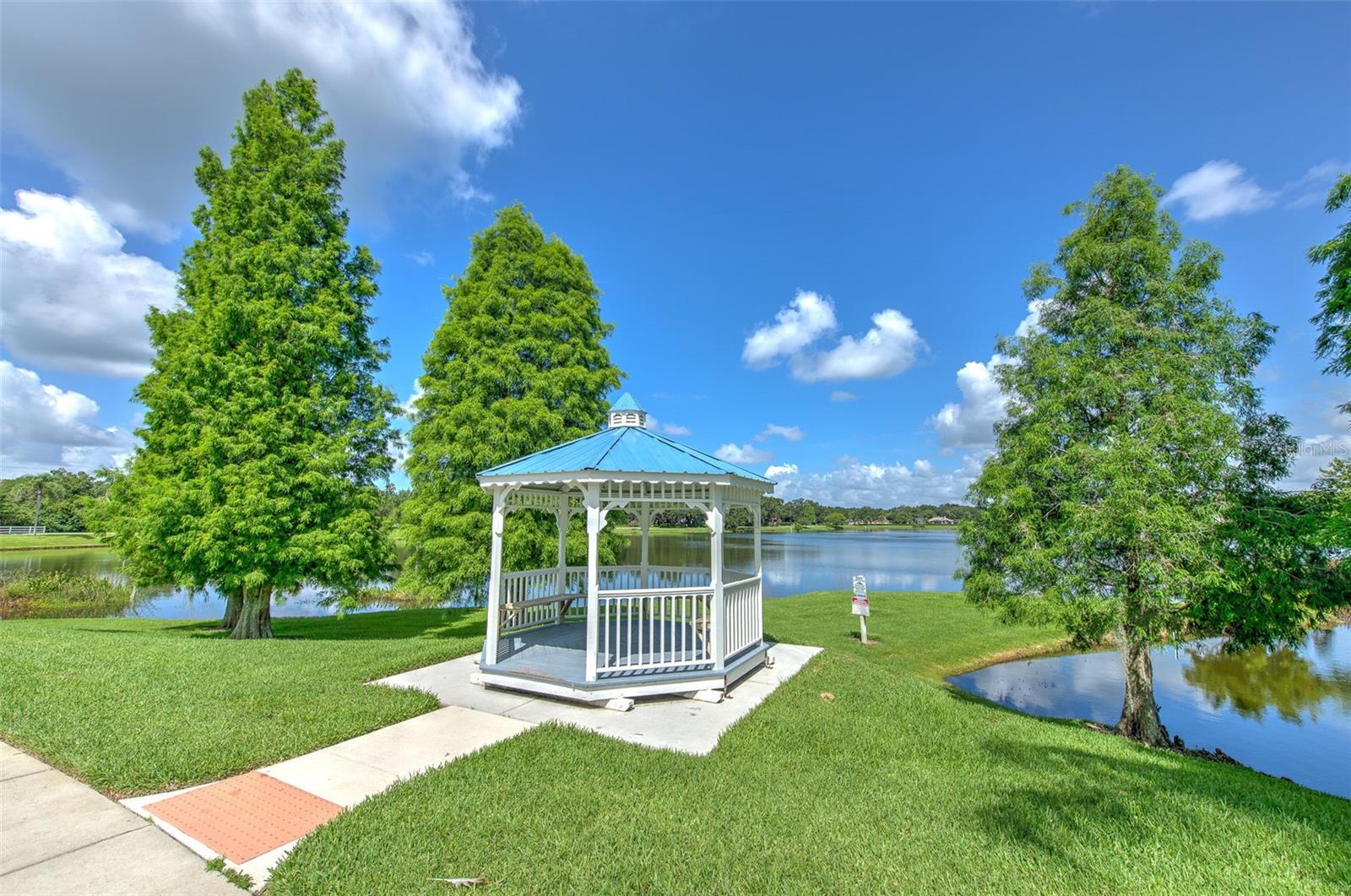3217 PARTRIDGE POINT TRL, VALRICO, FL, 33596