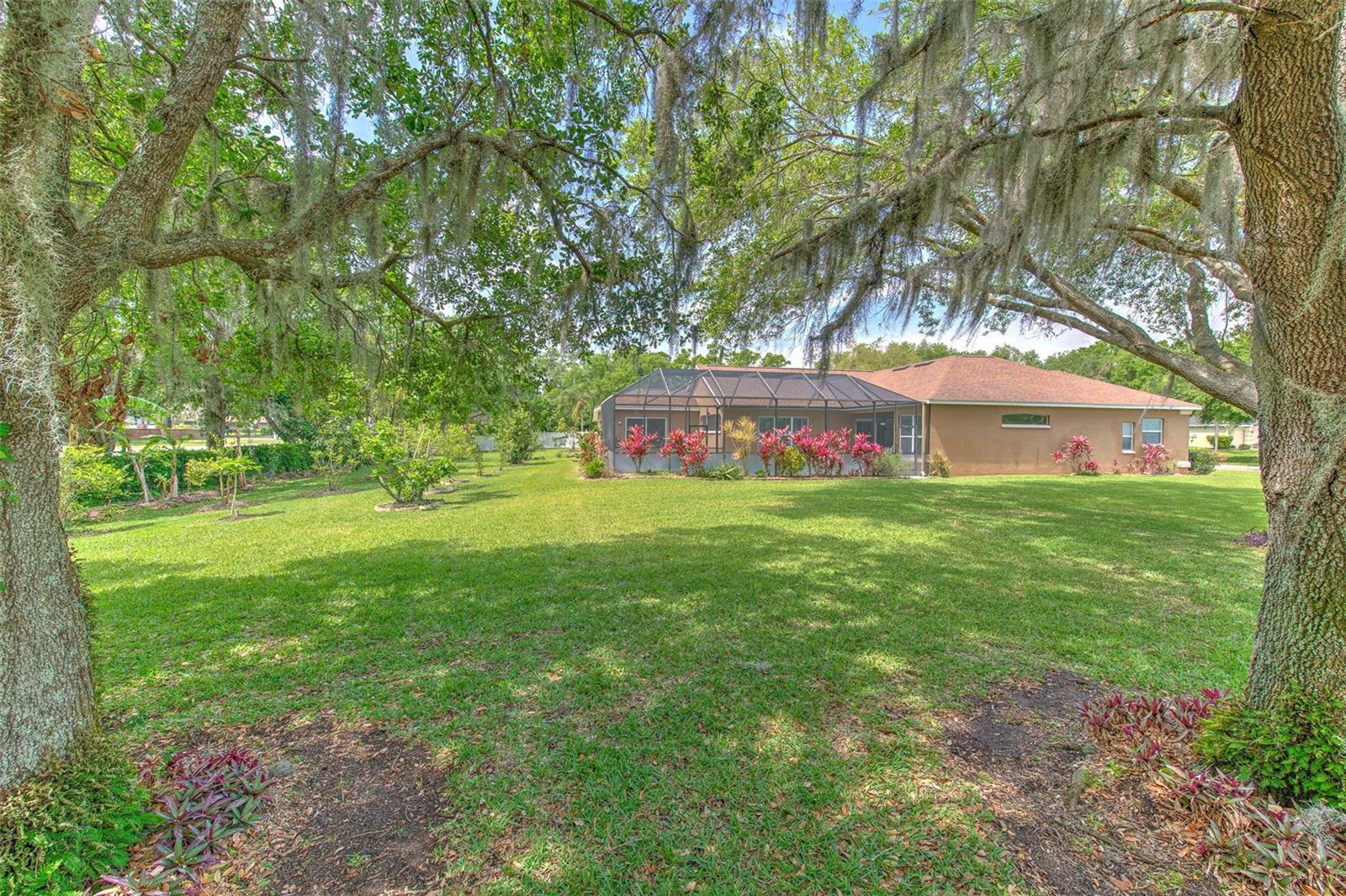 3217 PARTRIDGE POINT TRL, VALRICO, FL, 33596