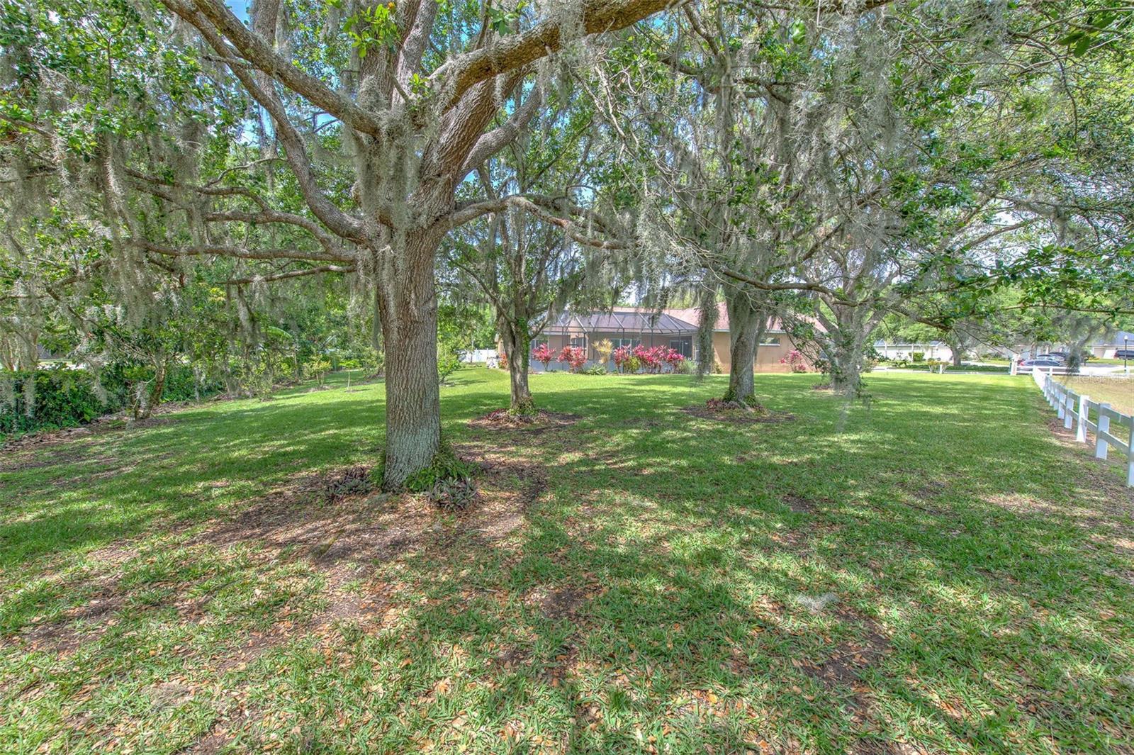 3217 PARTRIDGE POINT TRL, VALRICO, FL, 33596