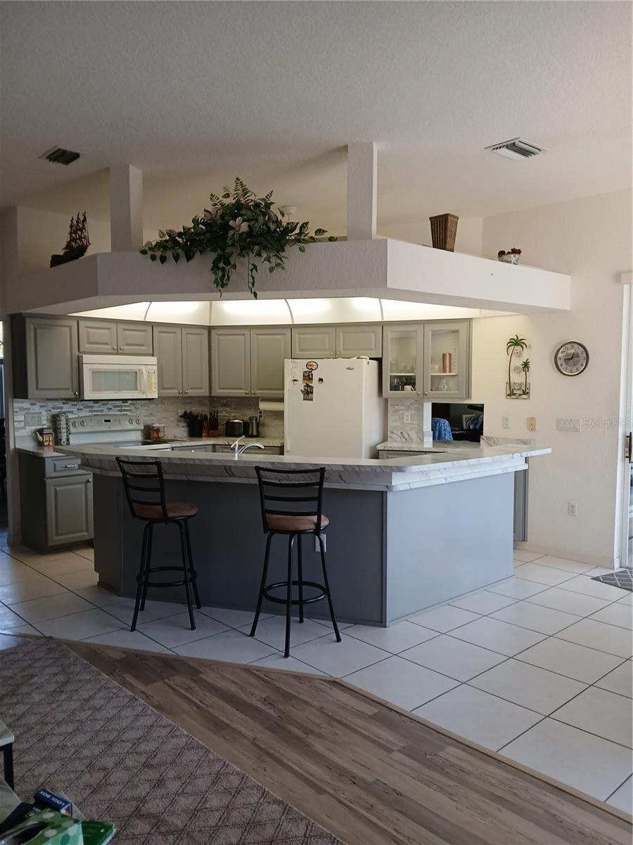 8630 CORAL CREEK LOOP, HUDSON, FL, 34667