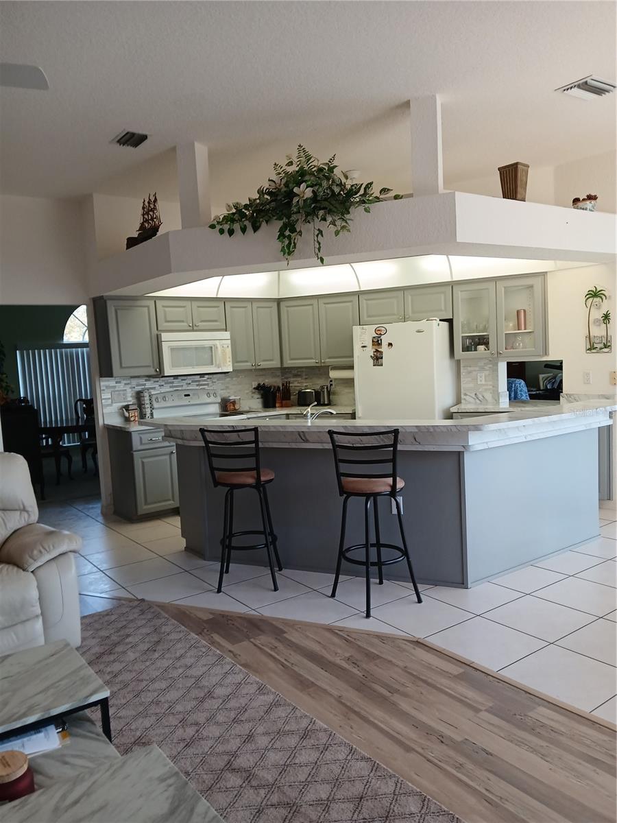 8630 CORAL CREEK LOOP, HUDSON, FL, 34667