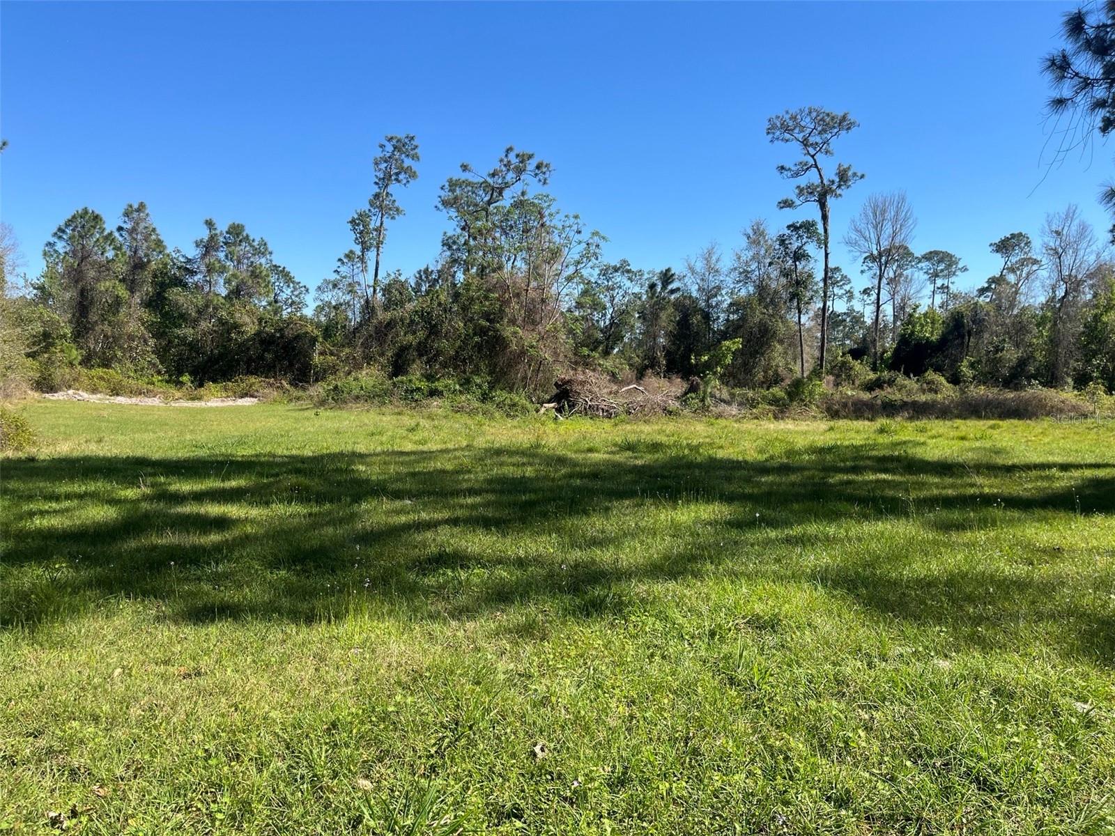 00 SHAW LAKE RD, PIERSON, FL, 32180