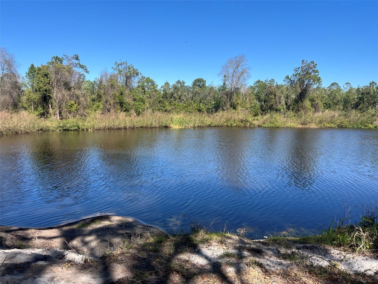 00 SHAW LAKE RD, PIERSON, FL, 32180