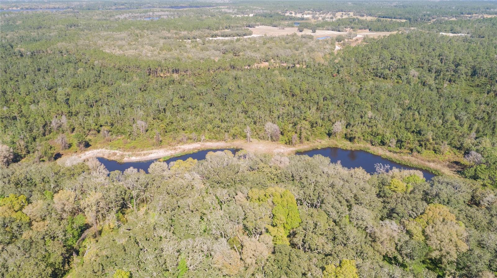 00 SHAW LAKE RD, PIERSON, FL, 32180
