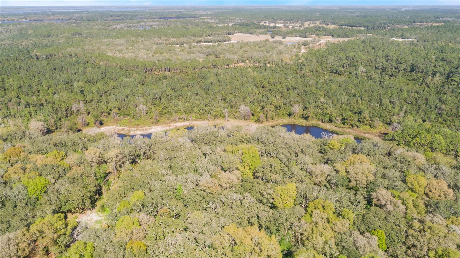 00 SHAW LAKE RD, PIERSON, FL, 32180