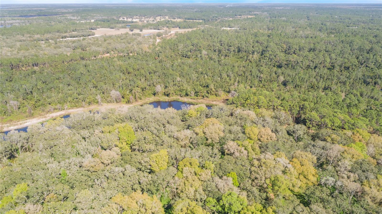 00 SHAW LAKE RD, PIERSON, FL, 32180
