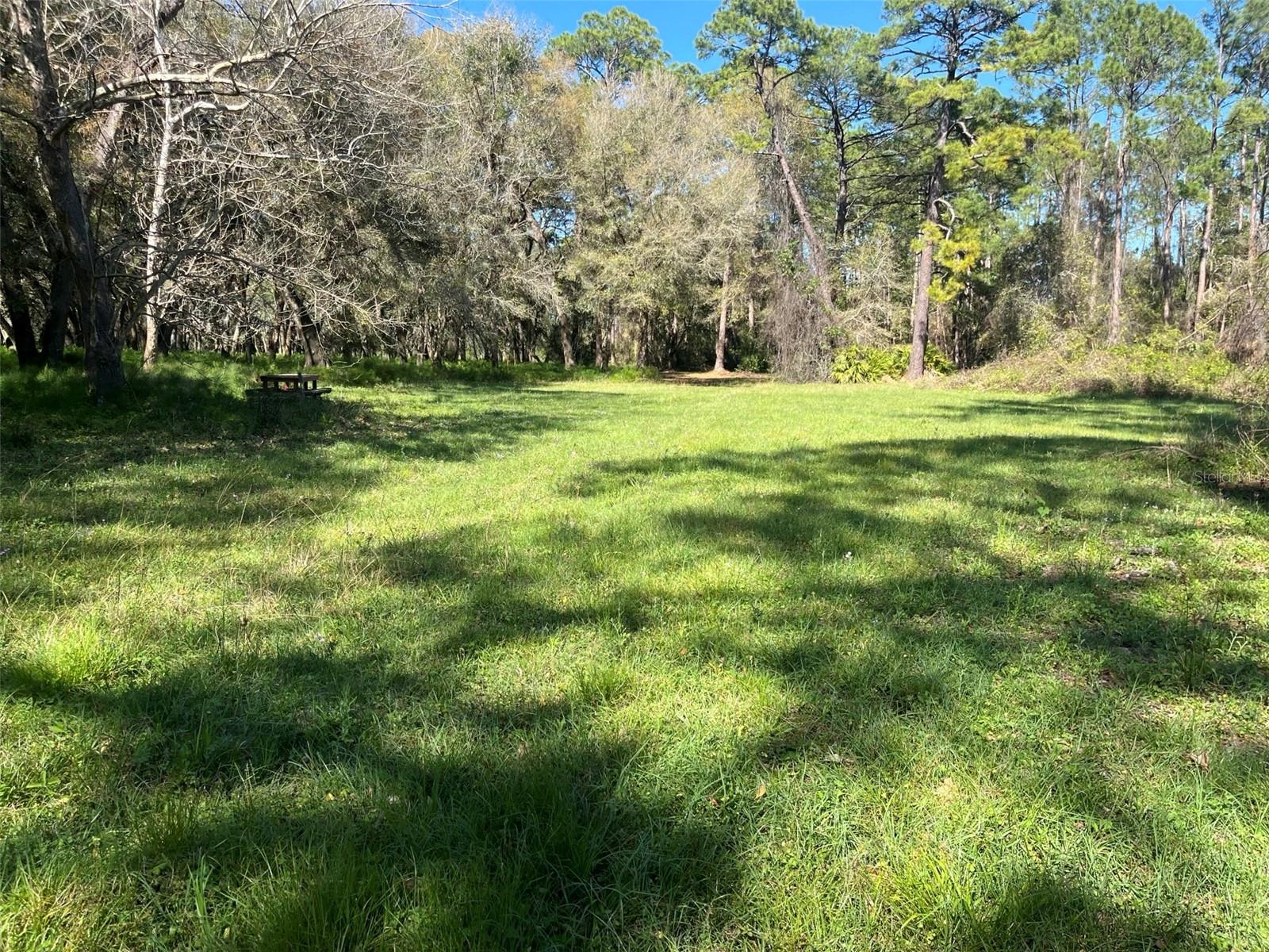 00 SHAW LAKE RD, PIERSON, FL, 32180