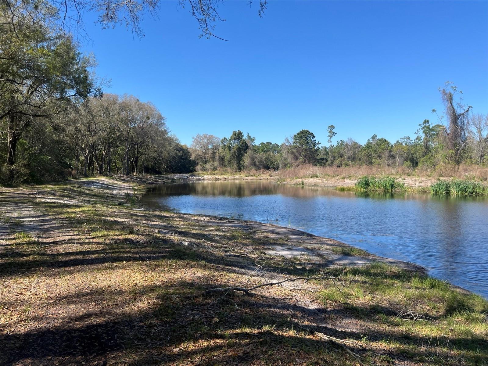 00 SHAW LAKE RD, PIERSON, FL, 32180