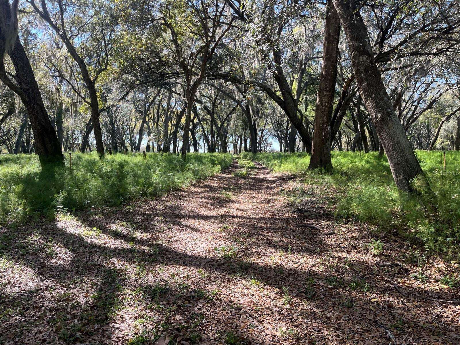 00 SHAW LAKE RD, PIERSON, FL, 32180