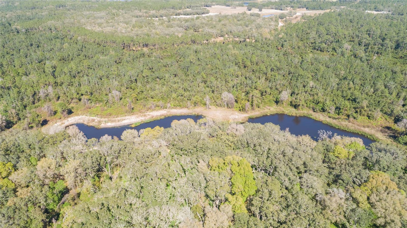 00 SHAW LAKE RD, PIERSON, FL, 32180