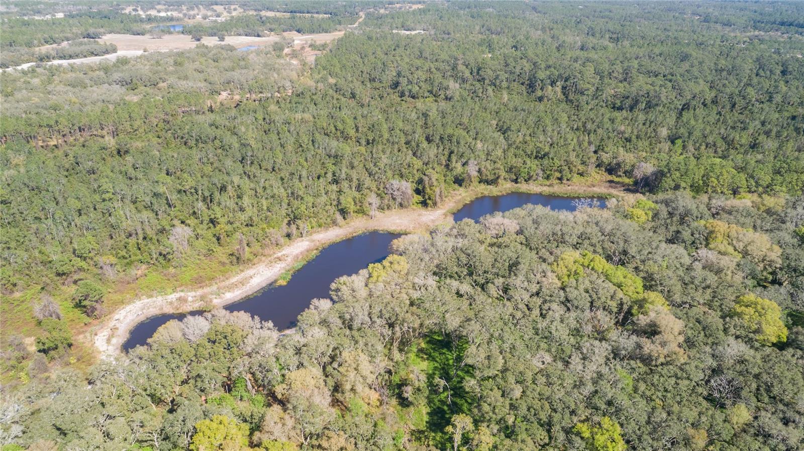 00 SHAW LAKE RD, PIERSON, FL, 32180