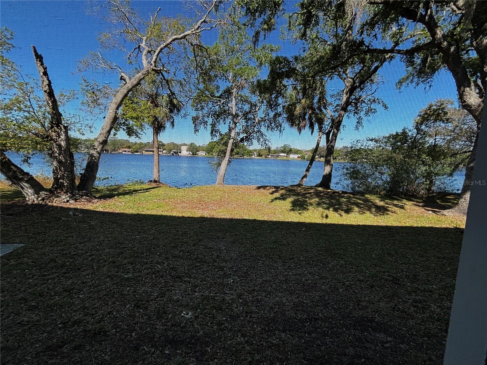 7208 E BANK DR, TAMPA, FL, 33617