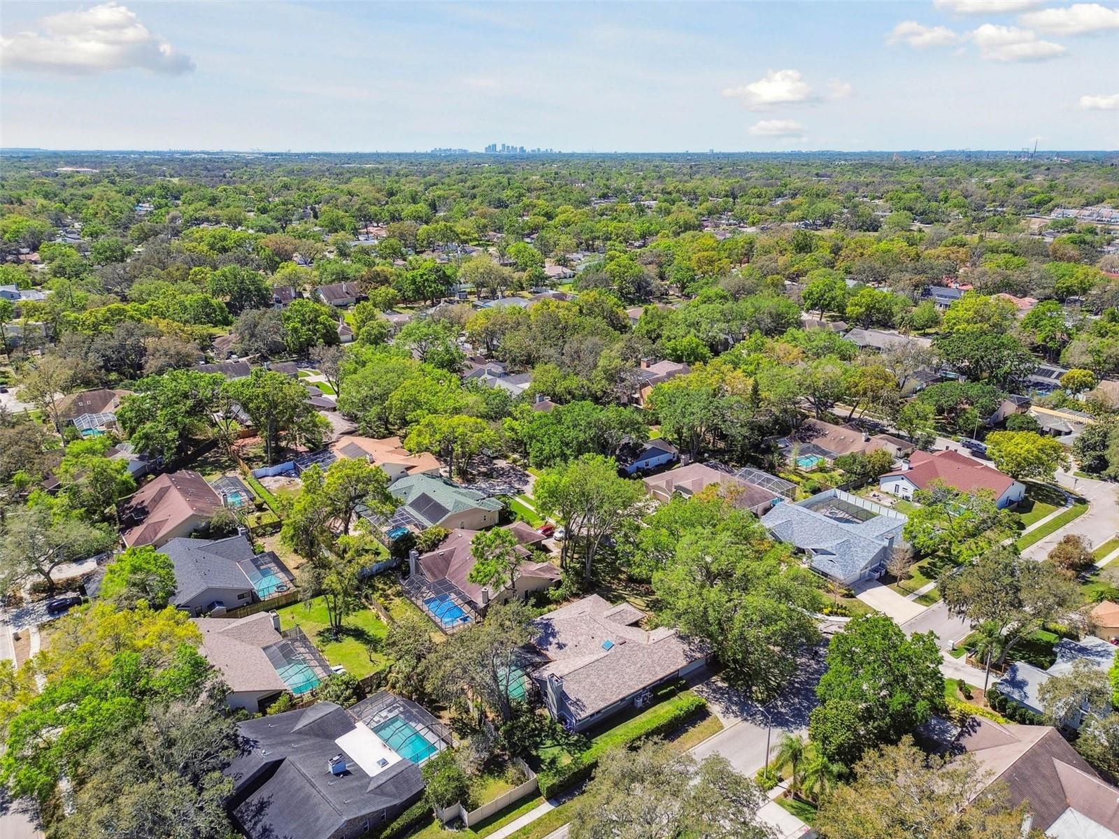 11505 GIBRALTER PL, TEMPLE TERRACE, FL, 33617