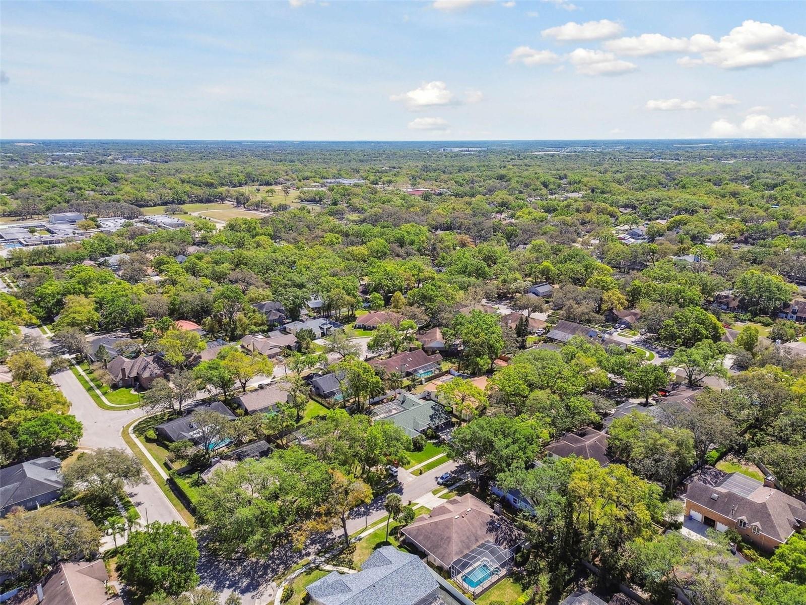 11505 GIBRALTER PL, TEMPLE TERRACE, FL, 33617