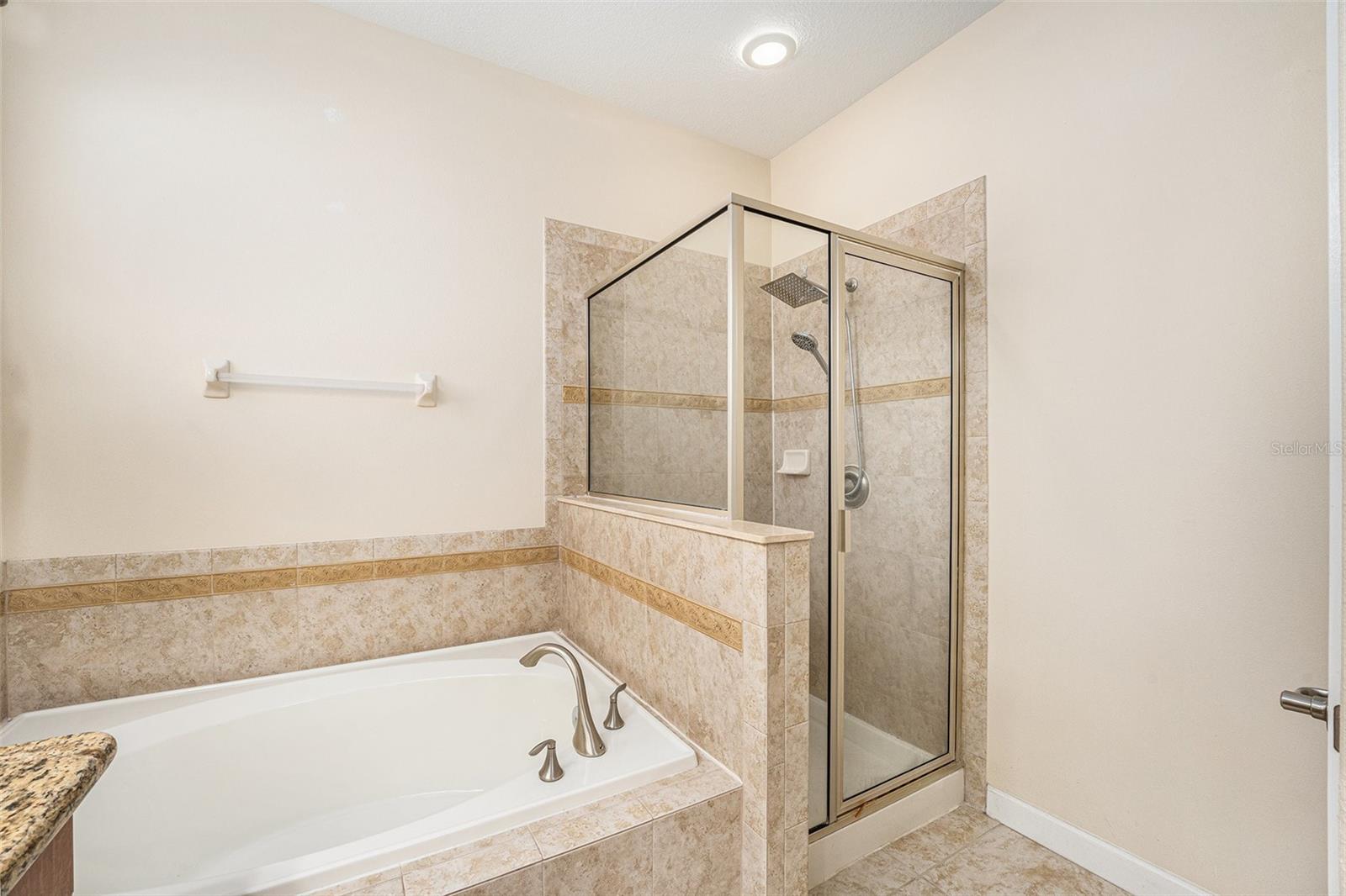 13820 CHALK HILL PL, RIVERVIEW, FL, 33579