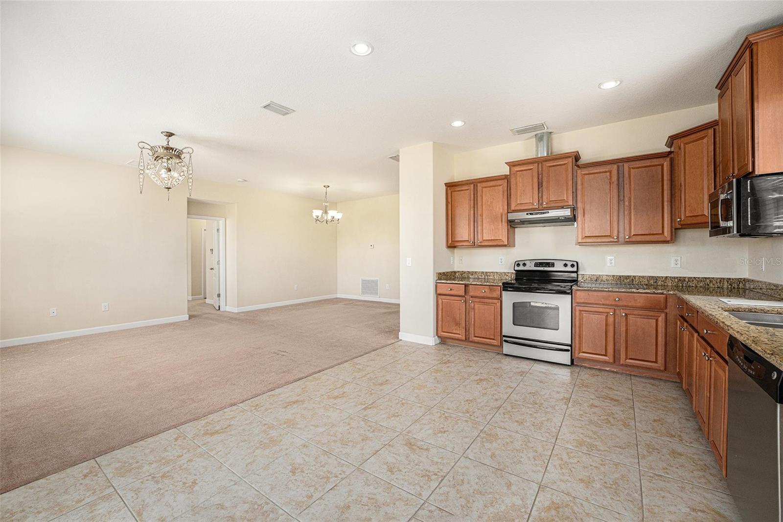 13820 CHALK HILL PL, RIVERVIEW, FL, 33579