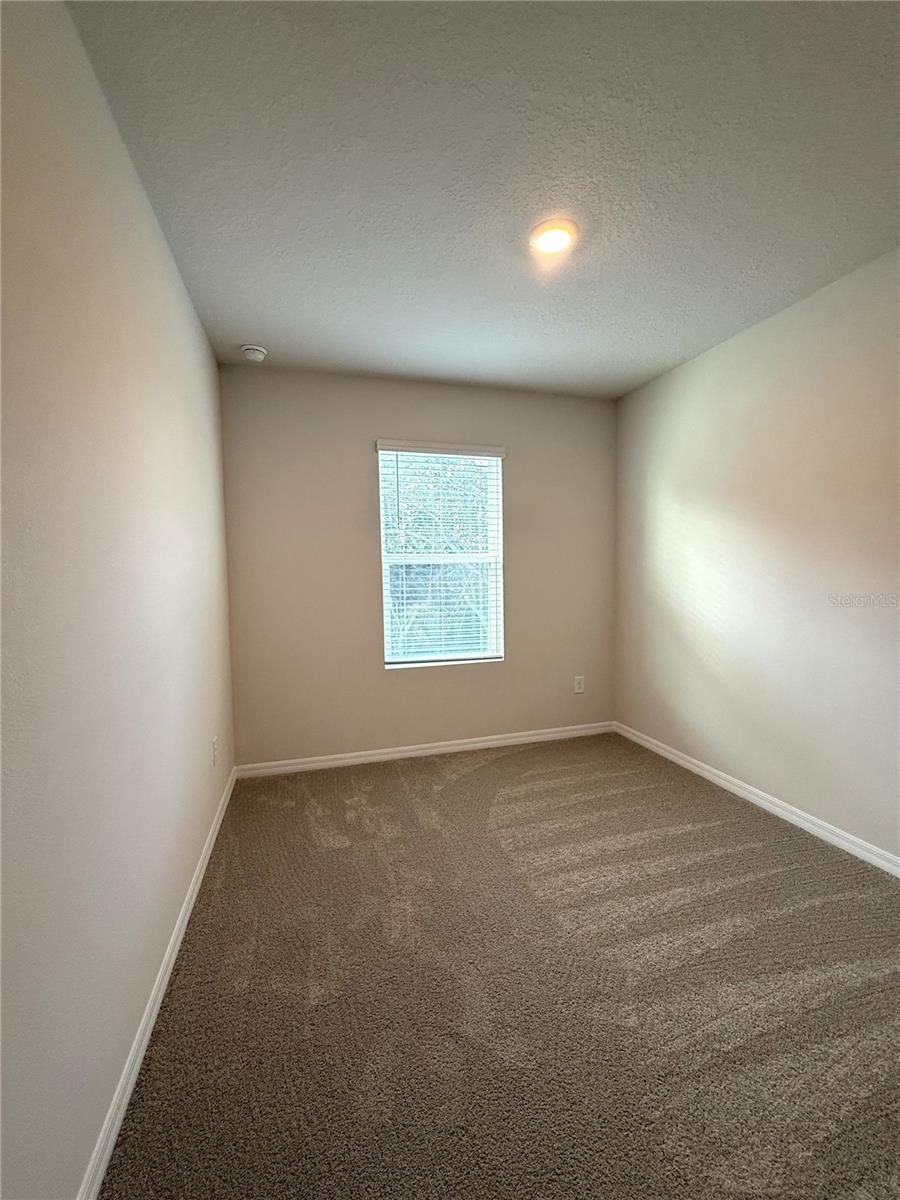 4649 PLEASANT AVE, PALM HARBOR, FL, 34683