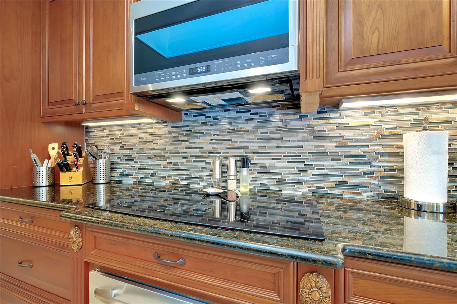 920 S DORAL LN, VENICE, FL, 34293