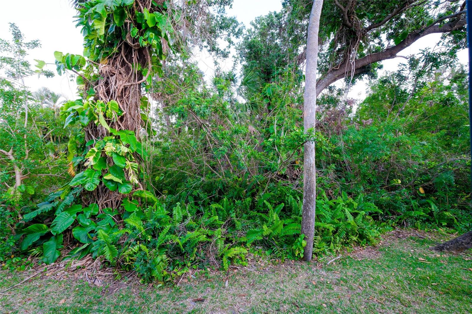 920 S DORAL LN, VENICE, FL, 34293