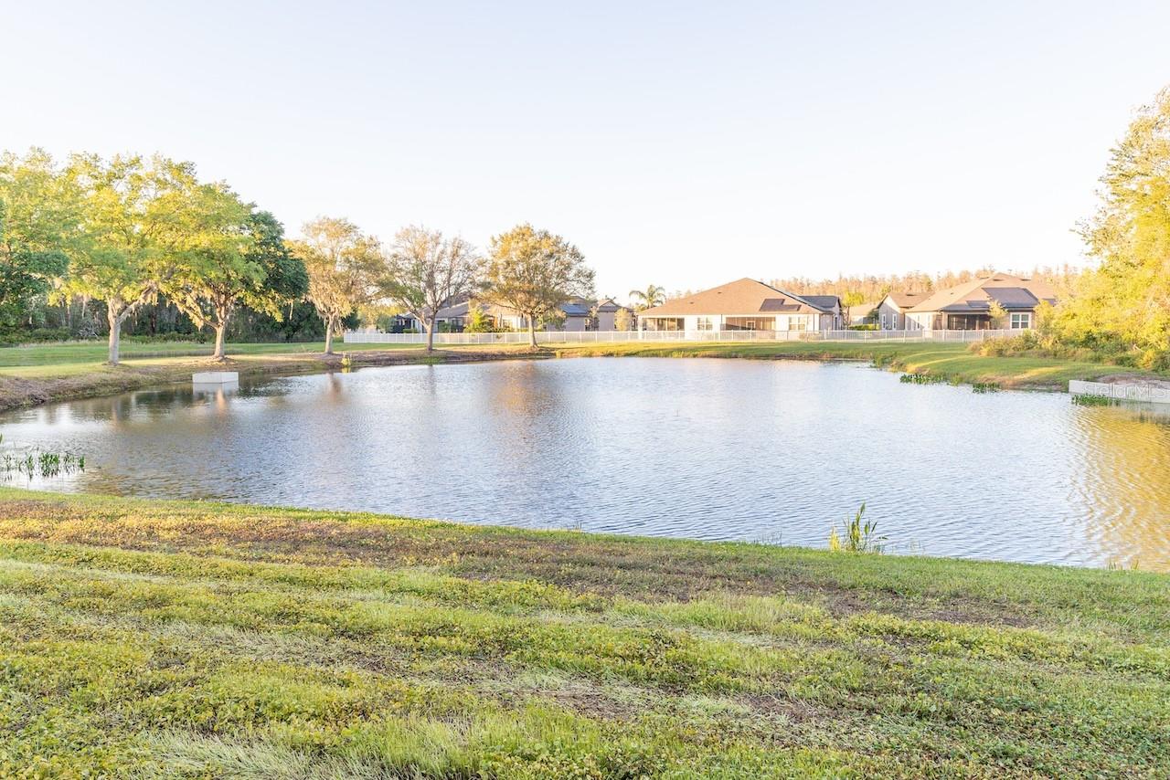 19279 STONE HEDGE DR, TAMPA, FL, 33647