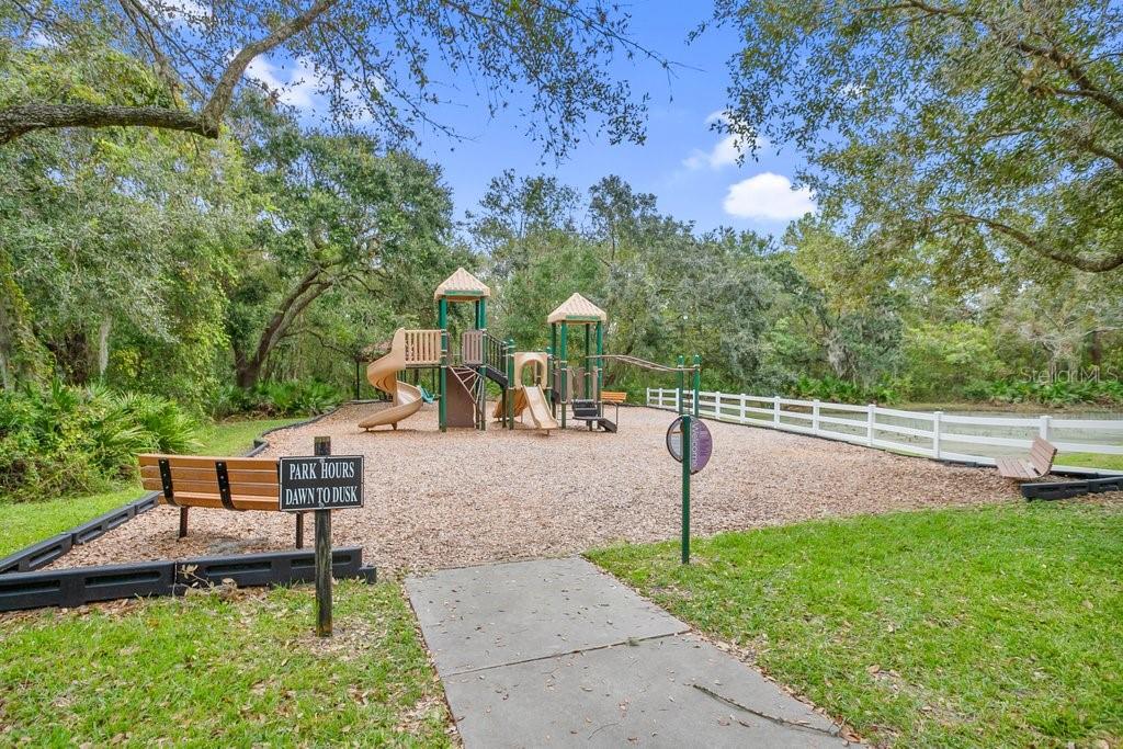 16843 HARRIERRIDGE PL, LITHIA, FL, 33547
