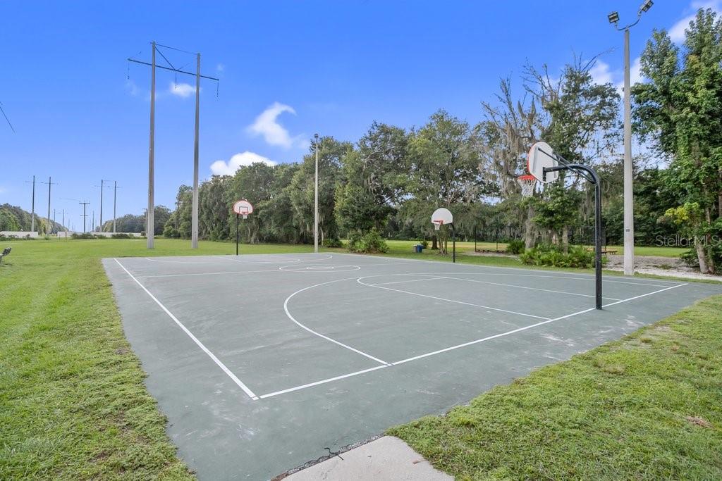 16843 HARRIERRIDGE PL, LITHIA, FL, 33547