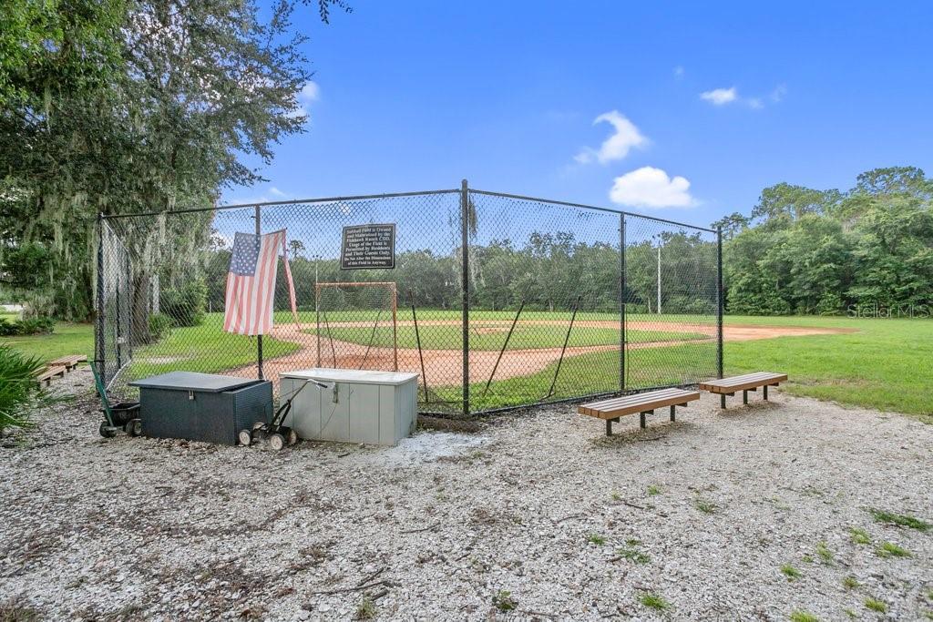 16843 HARRIERRIDGE PL, LITHIA, FL, 33547