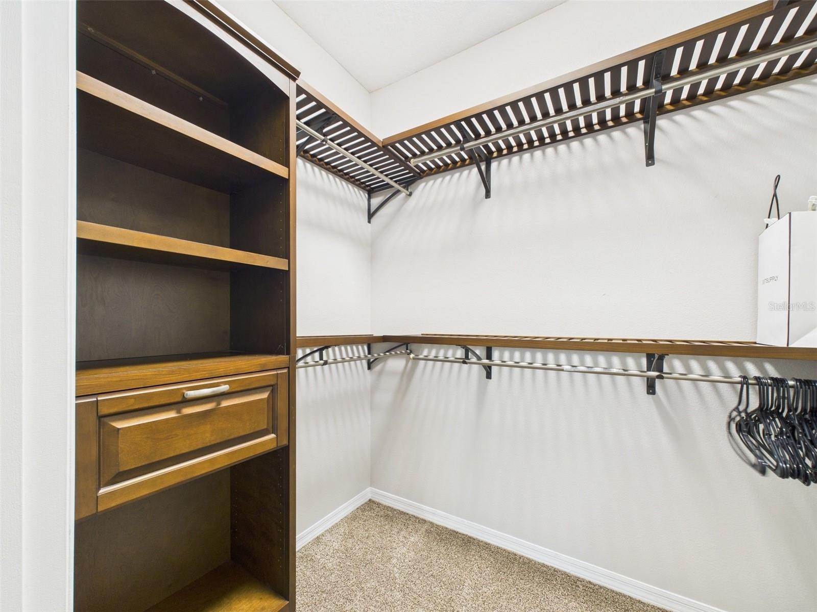 1810 E PALM AVE #6104, TAMPA, FL, 33605