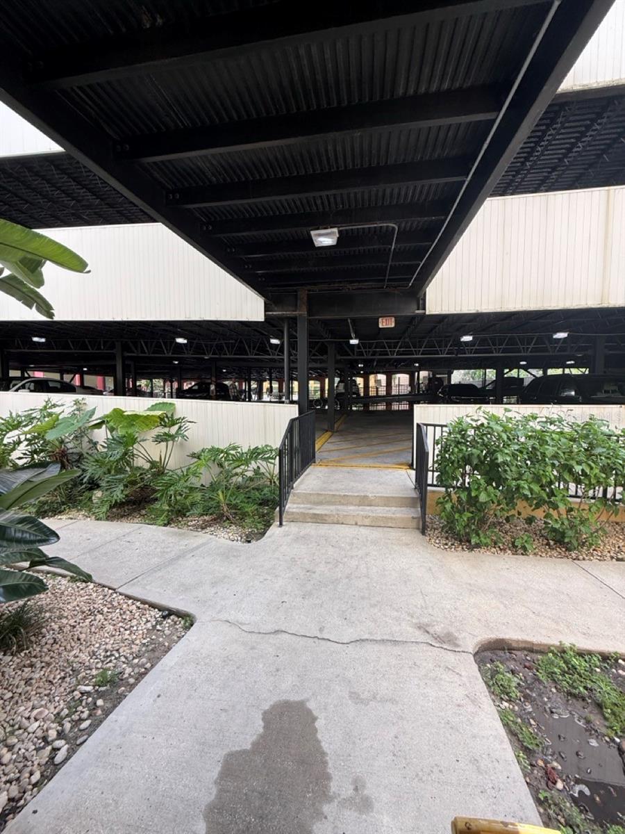 1810 E PALM AVE #6104, TAMPA, FL, 33605