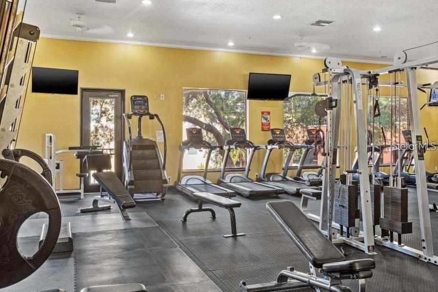 1810 E PALM AVE #6104, TAMPA, FL, 33605