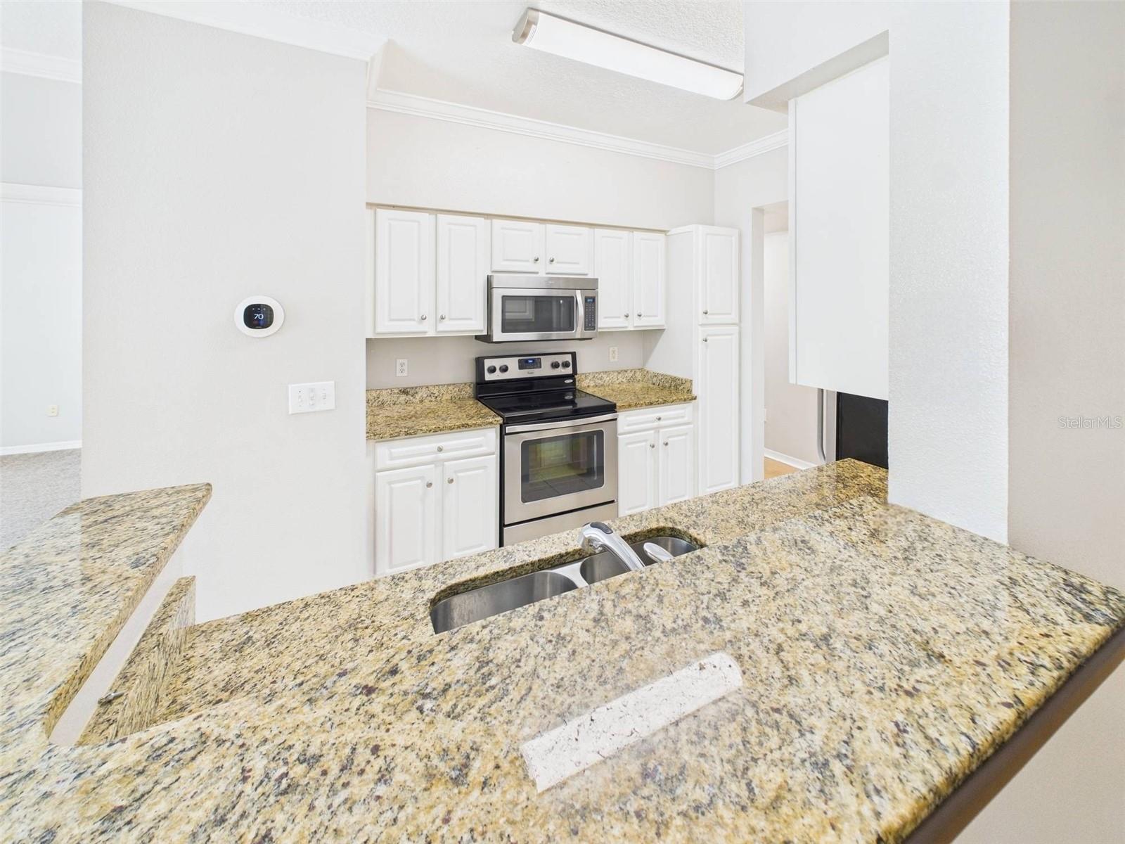 1810 E PALM AVE #6104, TAMPA, FL, 33605