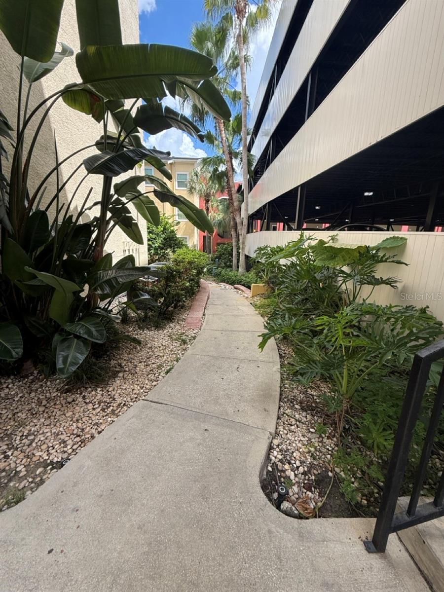 1810 E PALM AVE #6104, TAMPA, FL, 33605