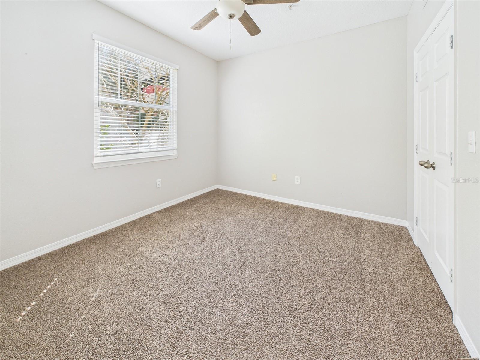1810 E PALM AVE #6104, TAMPA, FL, 33605