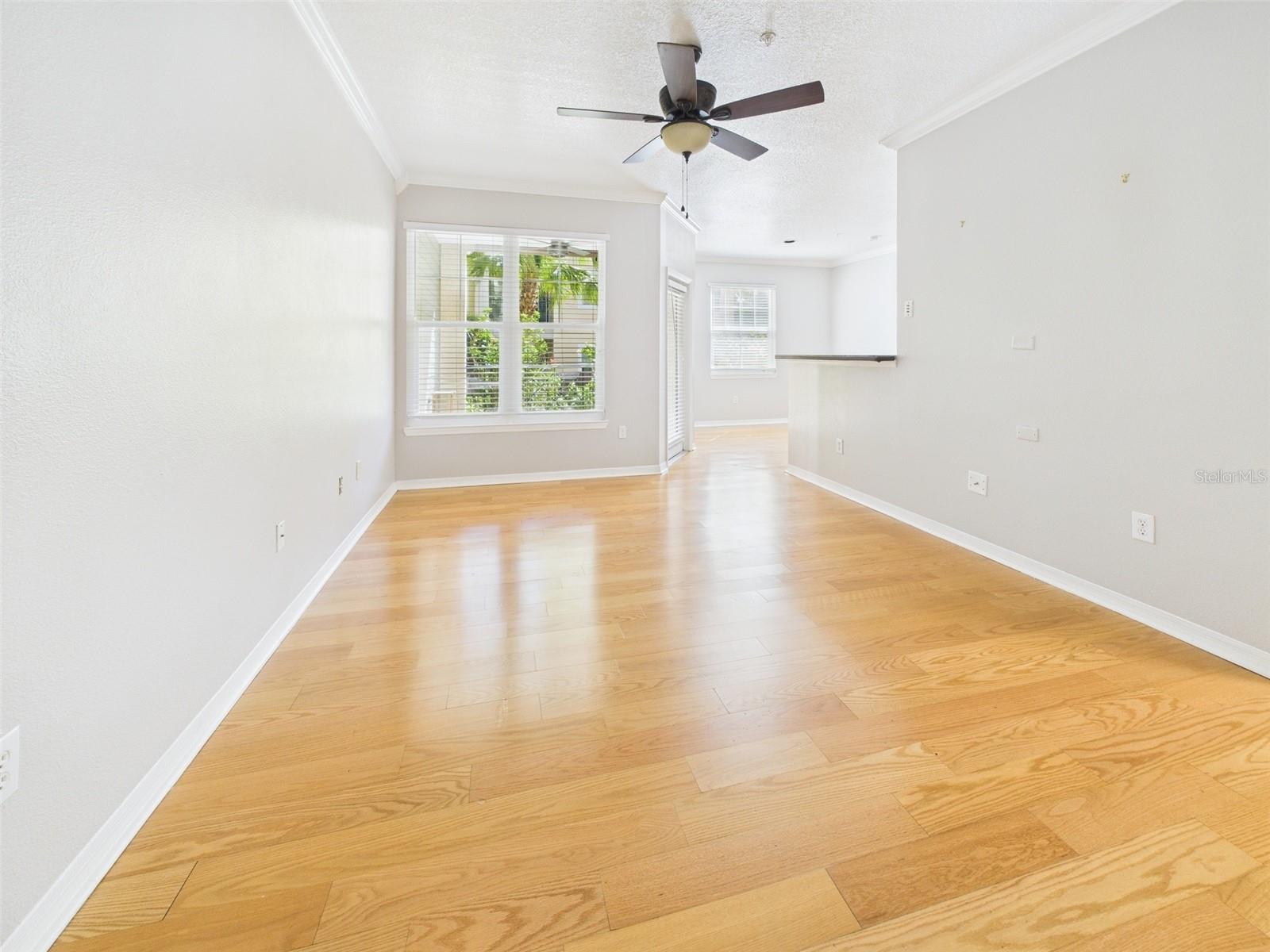 1810 E PALM AVE #6104, TAMPA, FL, 33605