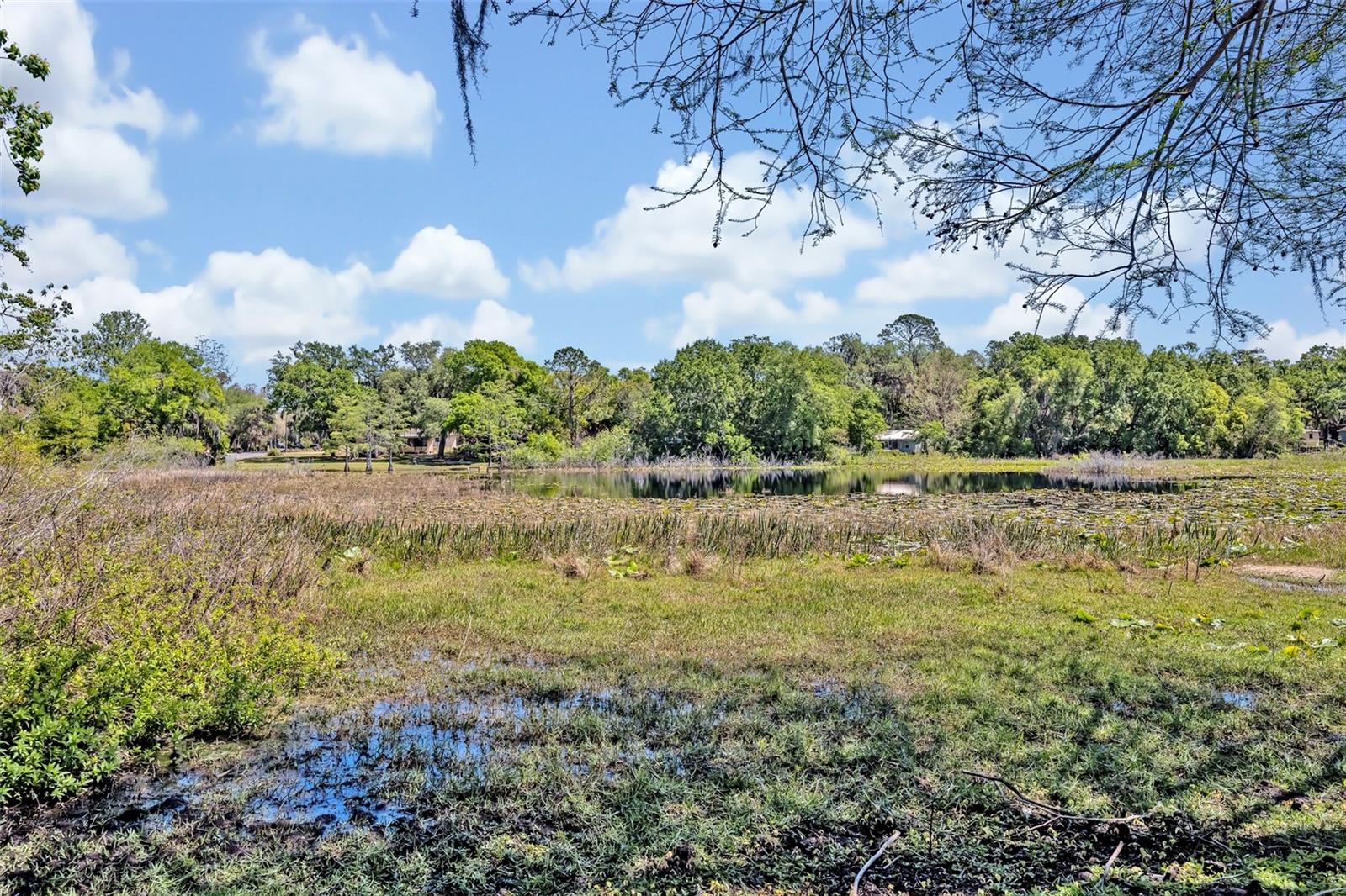 2350 CONESTOGA DR, LEESBURG, FL, 34748