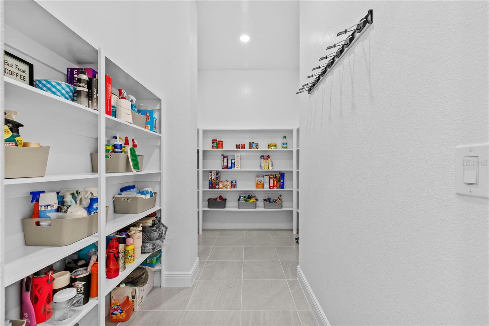 3966 TOUR TRCE, LAND O LAKES, FL, 34638