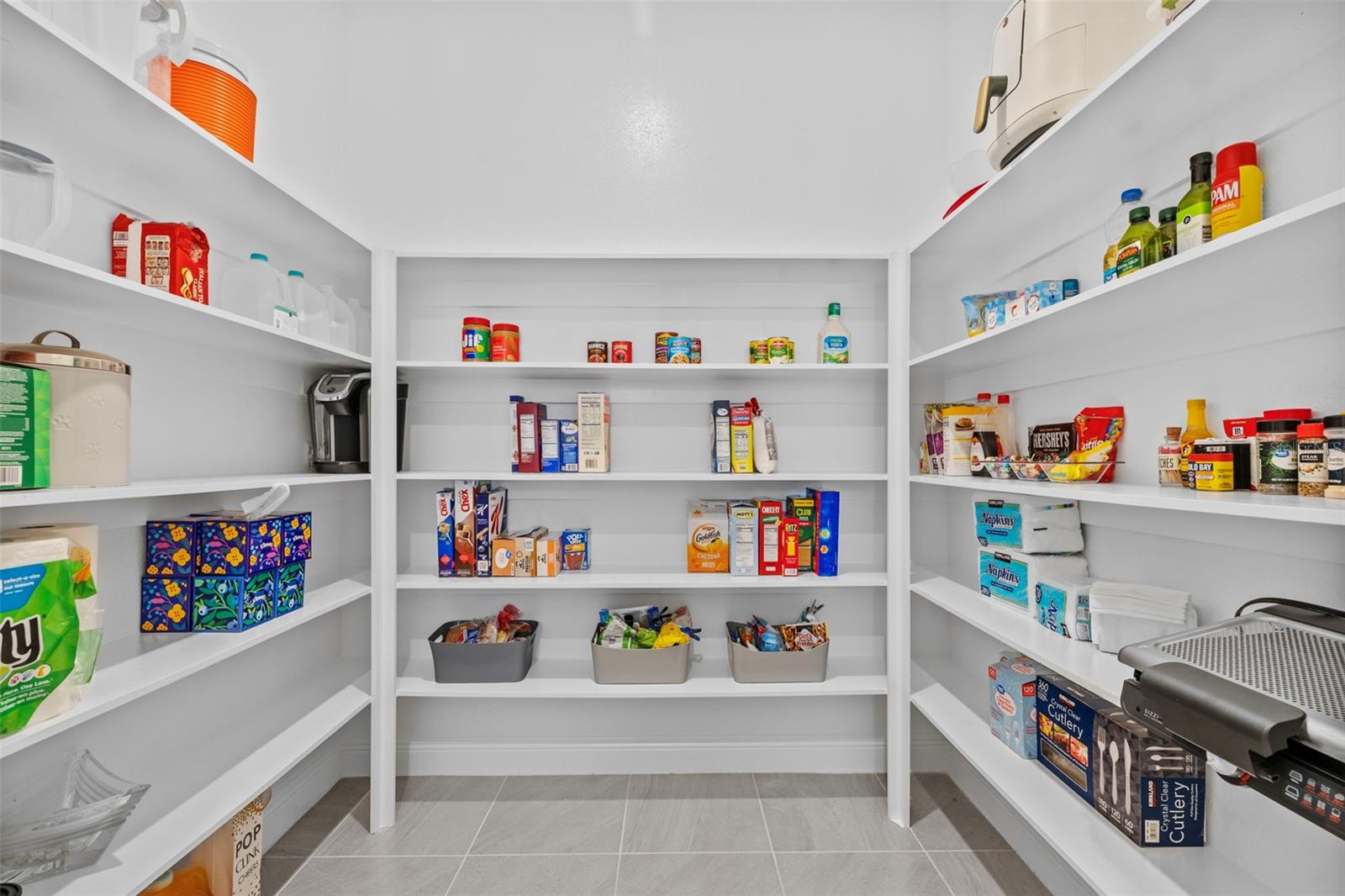 3966 TOUR TRCE, LAND O LAKES, FL, 34638