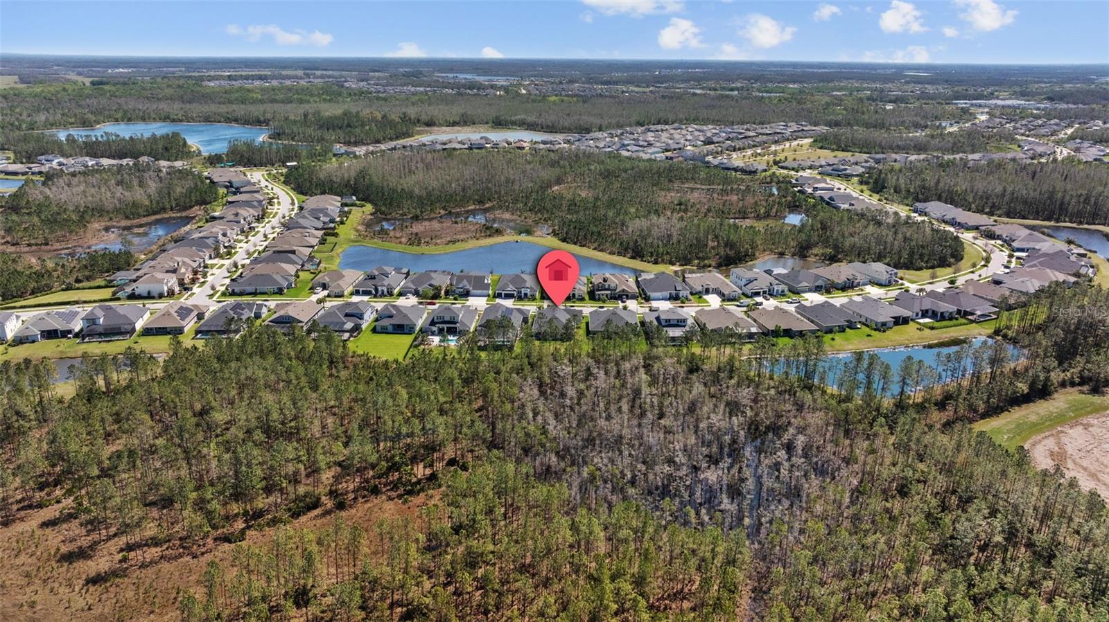 3966 TOUR TRCE, LAND O LAKES, FL, 34638