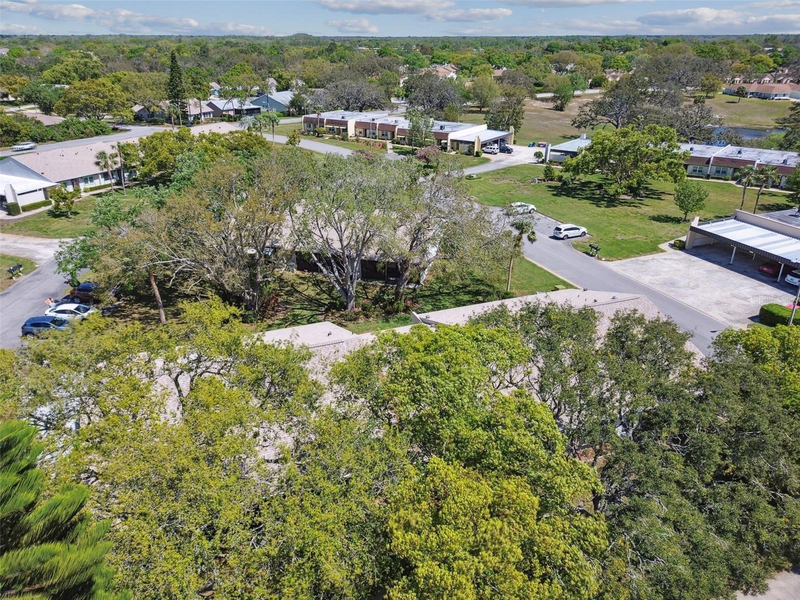 8130 BRADDOCK CIR #3, PORT RICHEY, FL, 34668