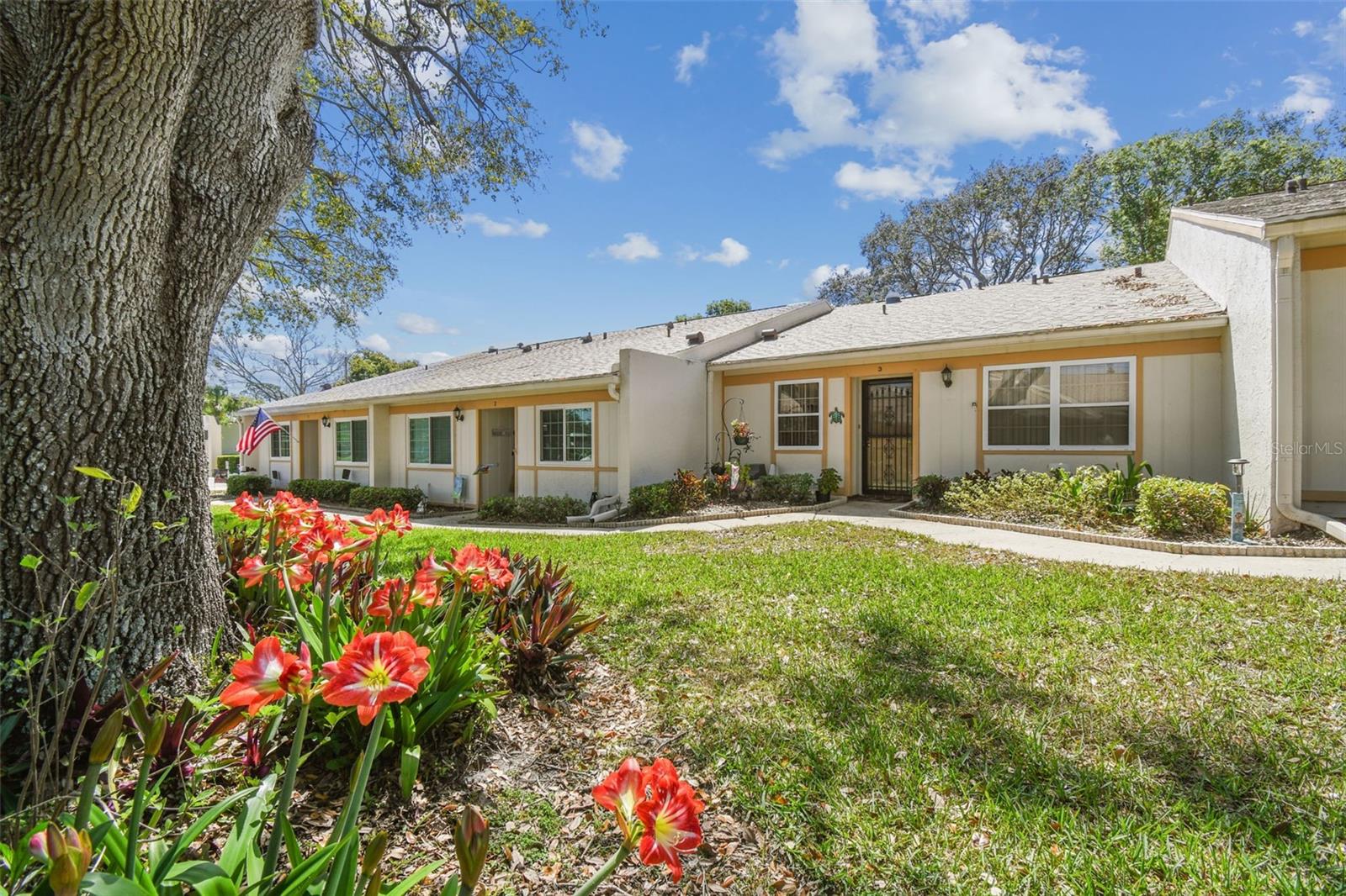 8130 BRADDOCK CIR #3, PORT RICHEY, FL, 34668