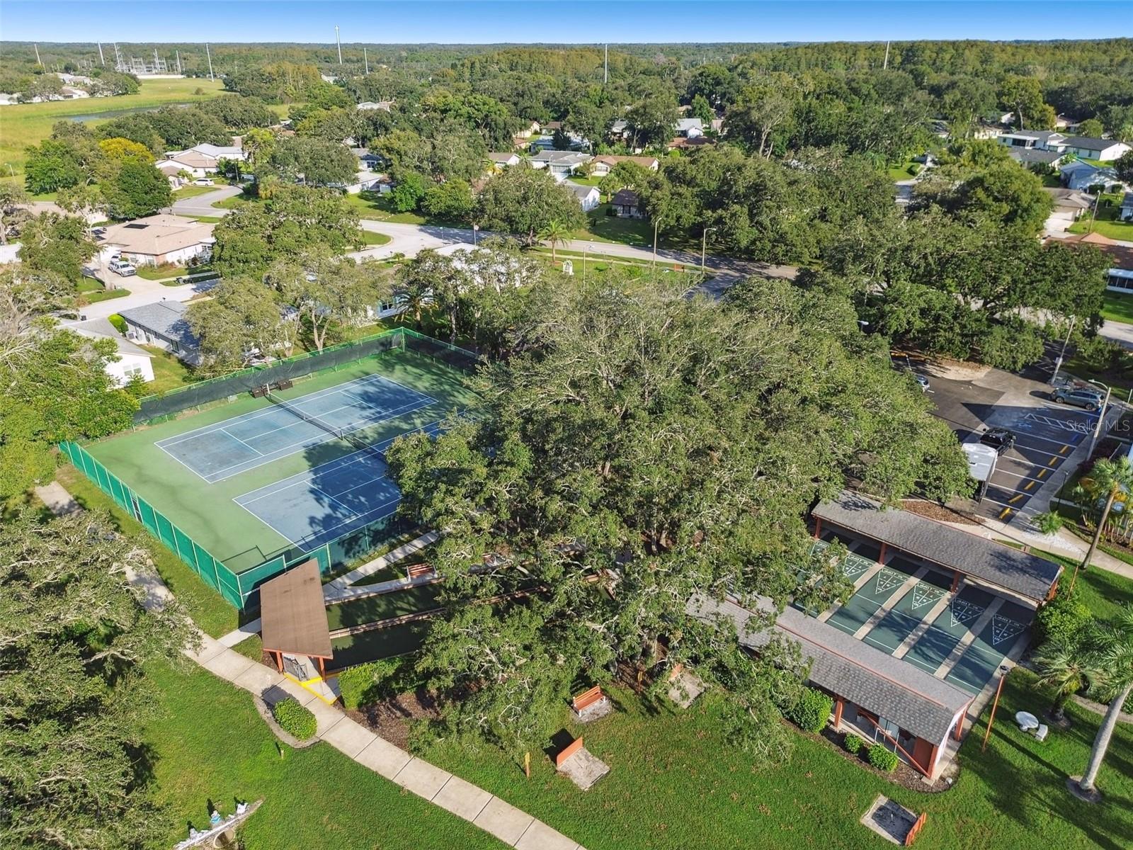 8130 BRADDOCK CIR #3, PORT RICHEY, FL, 34668