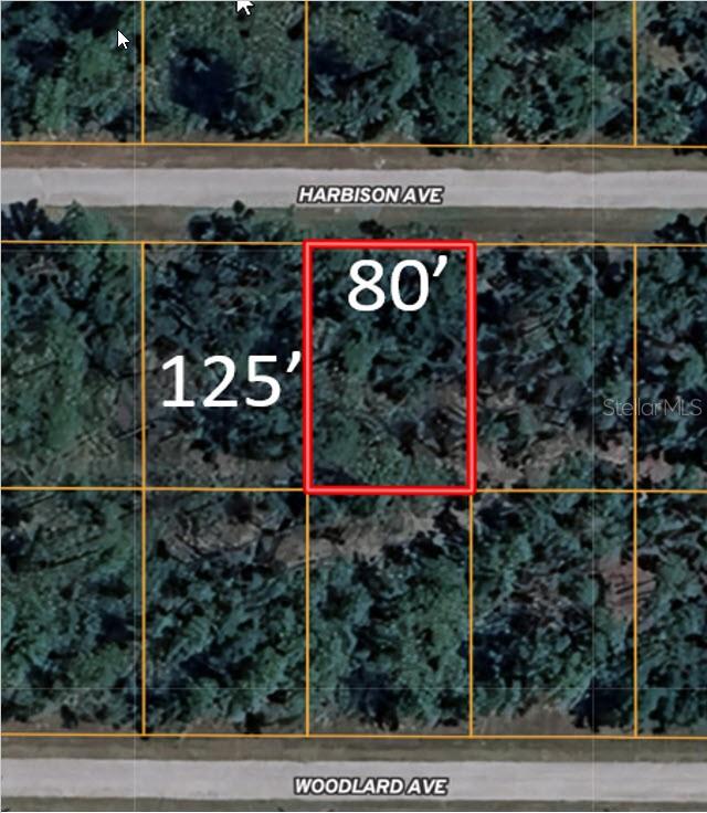 13165 HARBISON AVE, PORT CHARLOTTE, FL, 33953